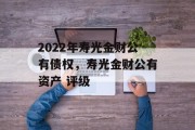 2022年寿光金财公有债权，寿光金财公有资产 评级