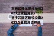 重庆武隆区建设投资2023企业信用资产，重庆武隆区建设投资2023企业信用资产情况