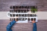 山东邹城市城资控股2022年债权资产（山东邹城市城资控股2022年债权资产负债率）