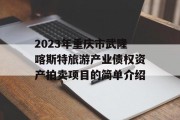 2023年重庆市武隆喀斯特旅游产业债权资产拍卖项目的简单介绍