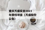 重庆万盛实业2023年债权项目（万盛股份公告）