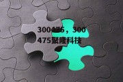 300475，300475聚隆科技