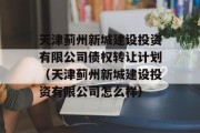 天津蓟州新城建设投资有限公司债权转让计划（天津蓟州新城建设投资有限公司怎么样）