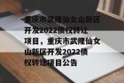 重庆市武隆仙女山新区开发2022债权转让项目，重庆市武隆仙女山新区开发2022债权转让项目公告