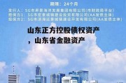 山东正方控股债权资产，山东省金融资产