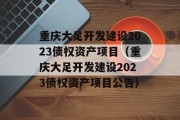 重庆大足开发建设2023债权资产项目（重庆大足开发建设2023债权资产项目公告）