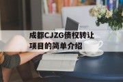 成都CJZG债权转让项目的简单介绍