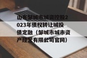 山东邹城市城资控股2023年债权转让城投债定融（邹城市城市资产经营有限公司官网）