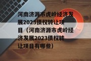 河南济源市虎岭经济发展2023债权转让项目（河南济源市虎岭经济发展2023债权转让项目有哪些）