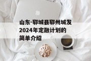 山东-郓城县郓州城发2024年定融计划的简单介绍