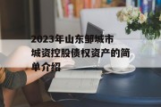 2023年山东邹城市城资控股债权资产的简单介绍