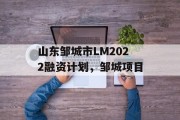 山东邹城市LM2022融资计划，邹城项目