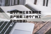 遂宁广利工业发展特定资产拍卖（遂宁广利工业政府融资）