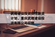 武隆建设投资债权融资计划，重庆武隆建设投资有限公司招聘