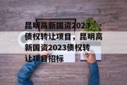 昆明高新国资2023债权转让项目，昆明高新国资2023债权转让项目招标