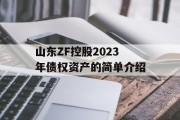 山东ZF控股2023年债权资产的简单介绍