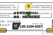 山东阳信城投2022债权，阳信城投集团