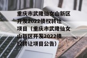 重庆市武隆仙女山新区开发2022债权转让项目（重庆市武隆仙女山新区开发2022债权转让项目公告）