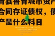 高青县鲁青城市资产运营合同存证债权，债权资产是什么科目