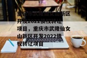 重庆市武隆仙女山新区开发2022债权转让项目，重庆市武隆仙女山新区开发2022债权转让项目