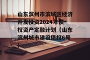 山东滨州市滨城区经济开发投资2024年债权资产定融计划（山东滨州城市建设债权6号）