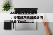 22晟鸿01枣庄标债，枣庄晟鸿集团是薛城建委下的吗