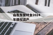 山东东营财金2024年债权资产