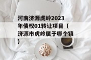 河南济源虎岭2023年债权01转让项目（济源市虎岭属于哪个镇）