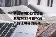 包含重庆DZYS实业发展2023年债权资产转让项目的词条