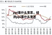 ppi是什么意思，经济ppi是什么意思