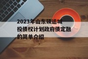 2023年山东硕运城投债权计划政府债定融的简单介绍