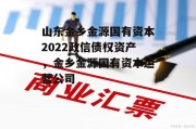 山东金乡金源国有资本2022政信债权资产，金乡金源国有资本运营公司