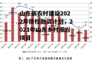 山东新农村建设2022年债权融资计划，2021年山东乡村振兴项目