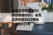 山东正方控股2022债权收益权01，山东正方控股2022债权收益权011号