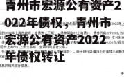 青州市宏源公有资产2022年债权，青州市宏源公有资产2022年债权转让