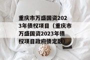 重庆市万盛国资2023年债权项目（重庆市万盛国资2023年债权项目政府债定融）