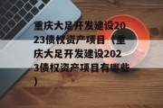 重庆大足开发建设2023债权资产项目（重庆大足开发建设2023债权资产项目有哪些）