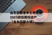 山东蒜都金乡土地发展2023政信债权资产（金乡蒜都小镇）