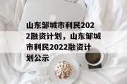 山东邹城市利民2022融资计划，山东邹城市利民2022融资计划公示