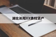 湖北长阳XX债权资产