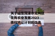 关于山东菏泽市定陶区圣陶农业发展2023债权转让计划的信息