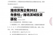 潍坊滨海公有2022年债权，潍坊滨城投资债权