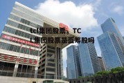 tcl集团股票，TCL集团股票是蓝筹股吗