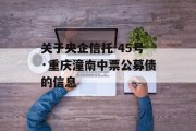 关于央企信托-45号·重庆潼南中票公募债的信息