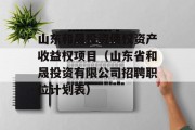 山东和晟投资债权资产收益权项目（山东省和晟投资有限公司招聘职位计划表）