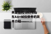 央企信托-205号山东AA+城投债券的简单介绍