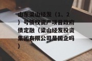 山东梁山经发（1、2）号债权资产项目政府债定融（梁山经发投资集团有限公司是国企吗）