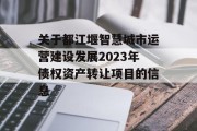 关于都江堰智慧城市运营建设发展2023年债权资产转让项目的信息