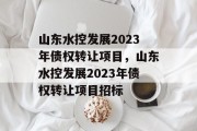 山东水控发展2023年债权转让项目，山东水控发展2023年债权转让项目招标