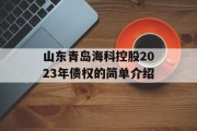 山东青岛海科控股2023年债权的简单介绍